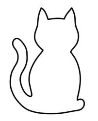 Reunited Unknown Cat last seen Stonebridge Pkwy and Landing Way, Cooper City, FL 33026