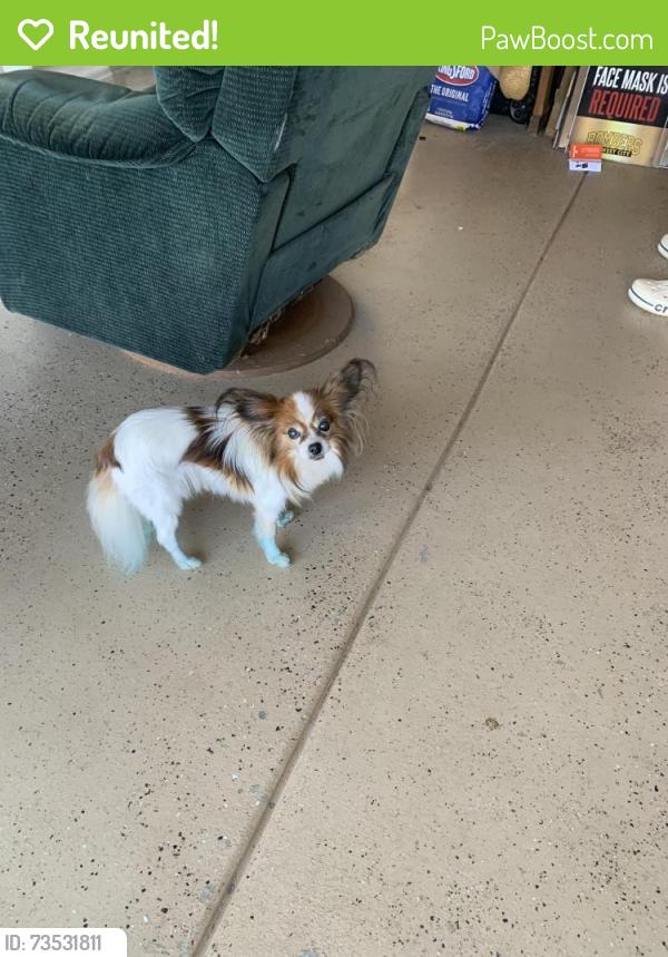 Reunited Unknown Dog last seen Windsong 15th street between Post and Westminster, Midwest City, OK 73130