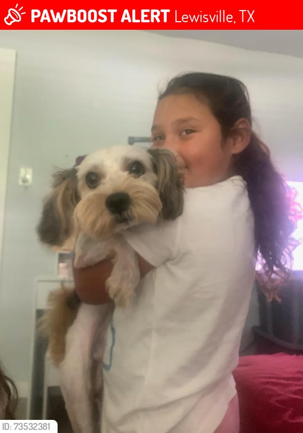 Lost Male Dog last seen Near Tiffany Ln, Lewisville, TX 75067