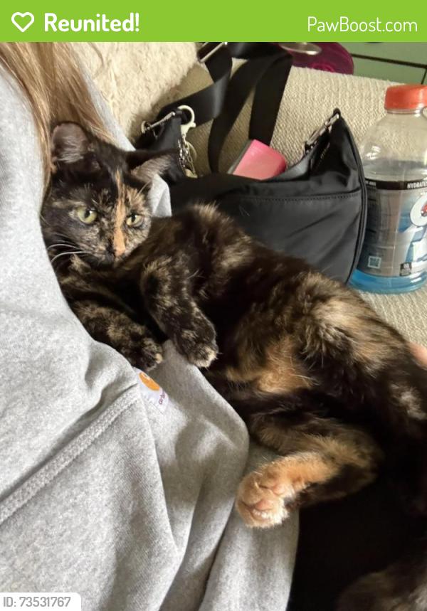 Reunited Female Cat last seen 210th St W, Lakeville, MN 55044, USA, Lakeville, MN 55044