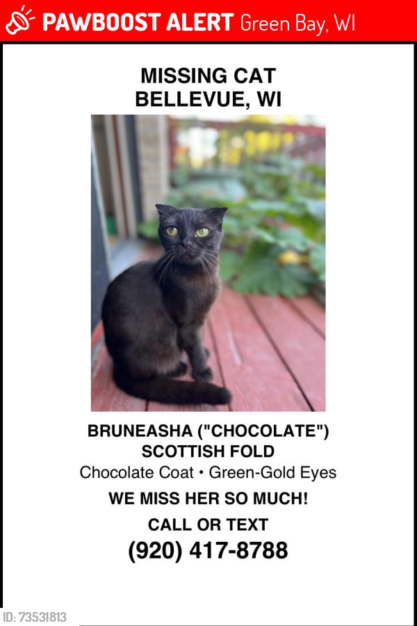 Lost Female Cat last seen Near Allouez Ave, Green Bay, WI 54311