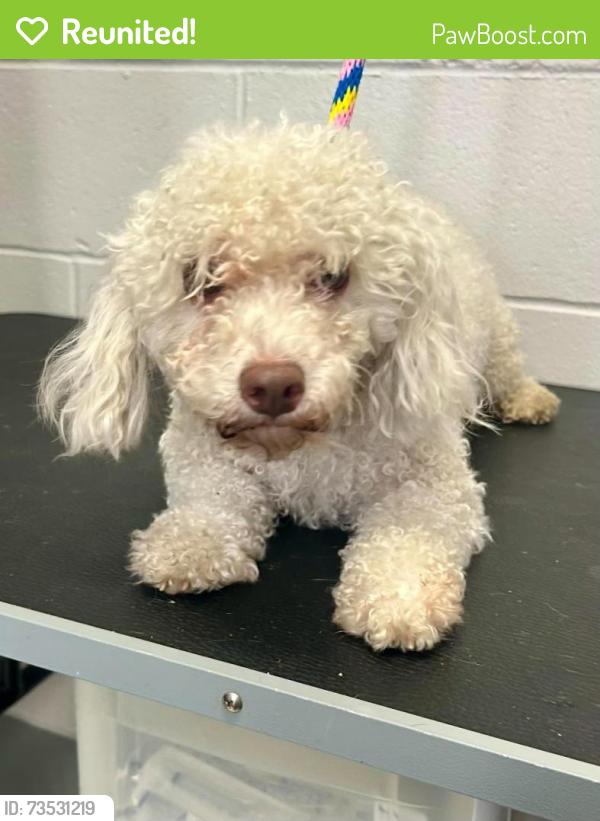 Reunited Female Dog last seen Rice and Wheelock, Saint Paul, MN 55117