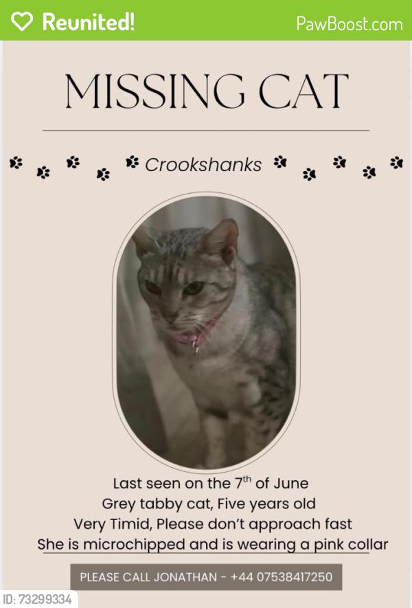 Reunited Female Cat last seen Hook Road, Hampshire, England SO51 9AU