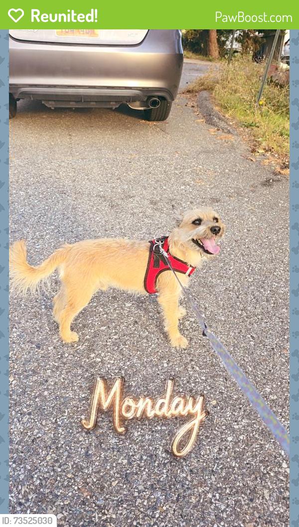 Reunited Male Dog last seen Near N Eastside dr layton near highway 89, Layton, UT 84040