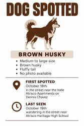 Found/Stray Unknown Dog last seen Dennis Chavez @ 118th near Atrisco High School, Albuquerque, NM 87121