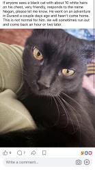Lost Male Cat last seen Fitch and Main, Durand, MI 48429