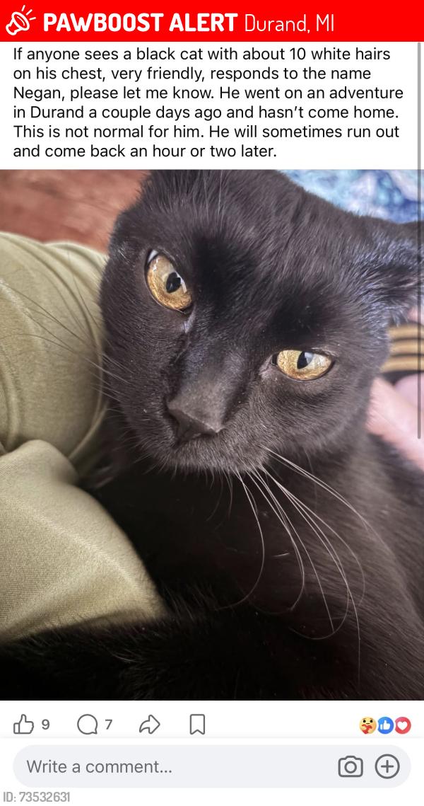Lost Male Cat last seen Fitch and Main, Durand, MI 48429