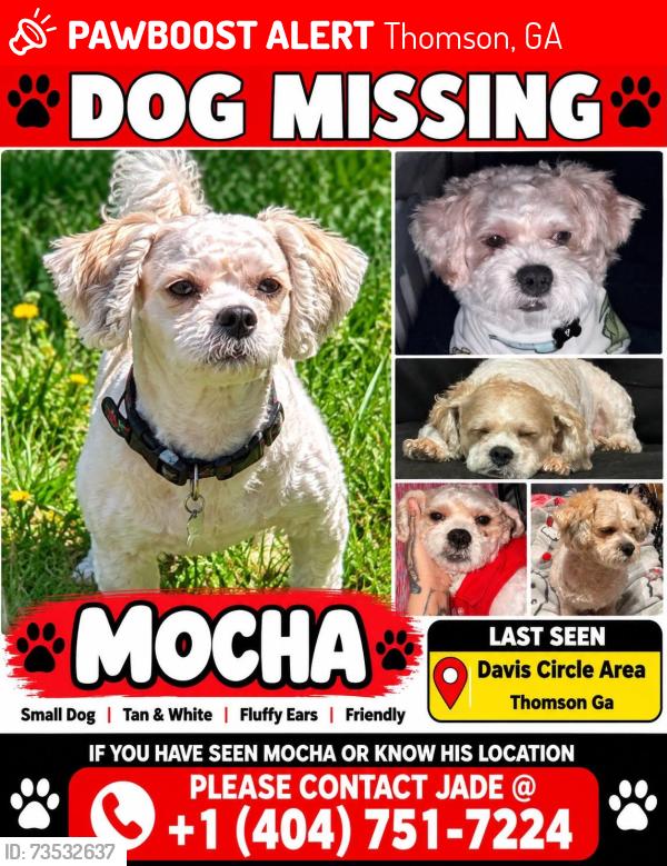 Lost Male Dog last seen Davis circle ,Thomson ga, Thomson, GA 30824