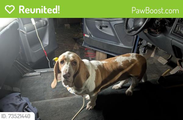 Reunited Female Dog last seen Near clime rd on Harrisburg Pike, Columbus, OH 43223