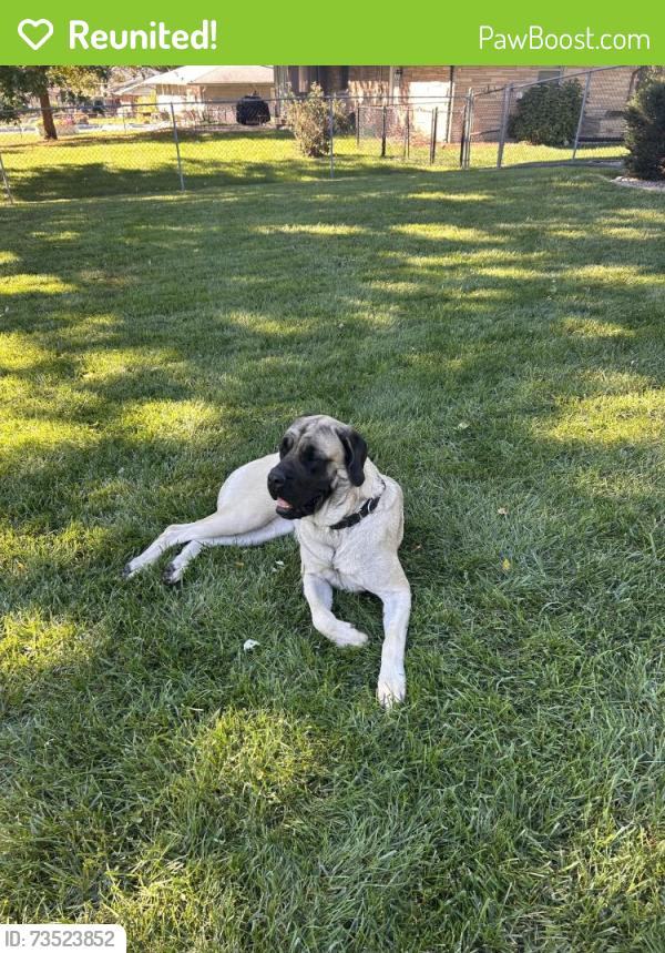 Reunited Unknown Dog last seen Meridian, Indianapolis, IN 46227
