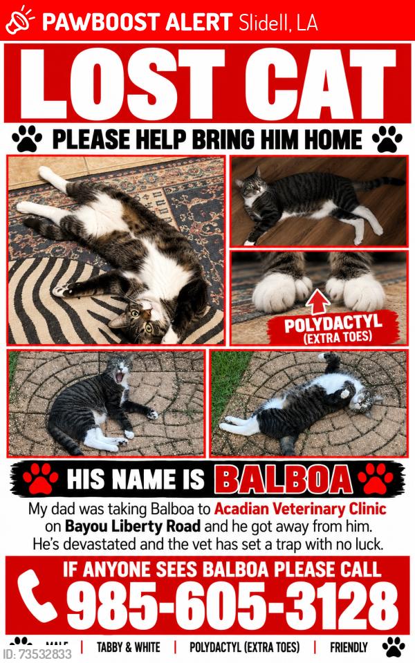 Lost Male Cat last seen Acadian Veterinary Clinic, Slidell, LA 70460