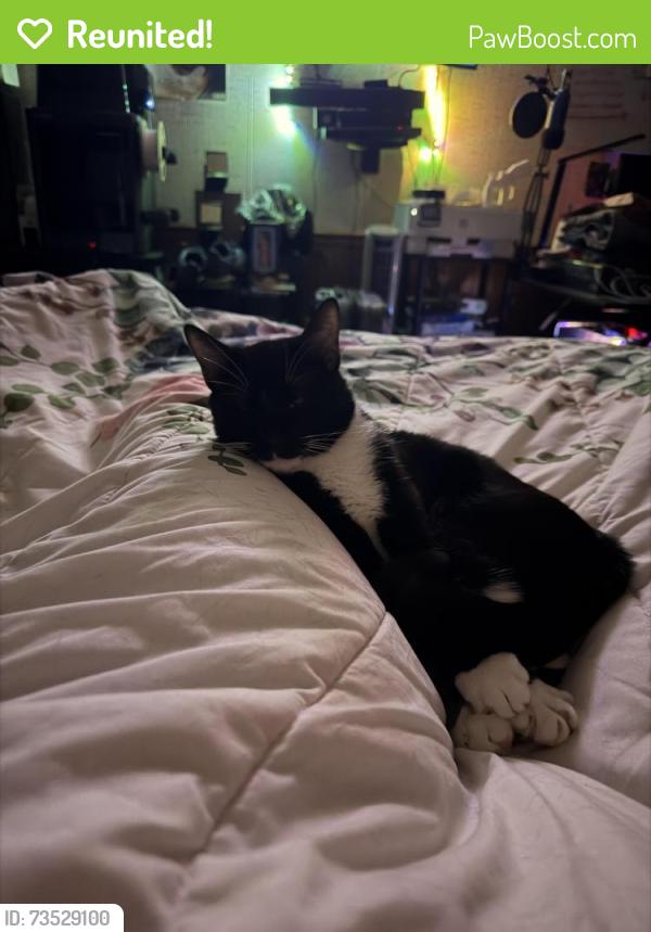 Reunited Male Cat last seen West ruritan rd challenger ave, Roanoke, VA 24012