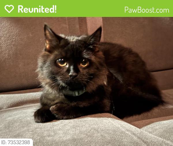 Reunited Male Cat last seen hse with a blue door , he was left in a cage outside., Lynn, MA 01902