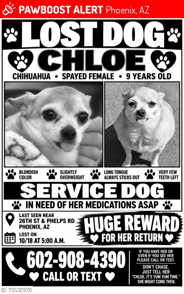 Lost Female Dog last seen 26th st and bell rd, Phoenix, AZ 85032