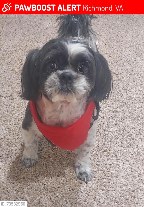 Lost Male Dog last seen Hardwood Rd, Richmond, VA 23224