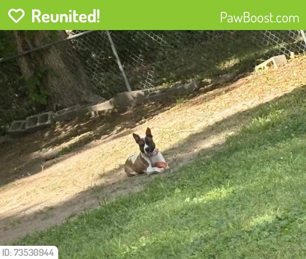 Reunited Male Dog last seen Greyson Rd / Fenner Rd, Rocky Mount, NC 27804