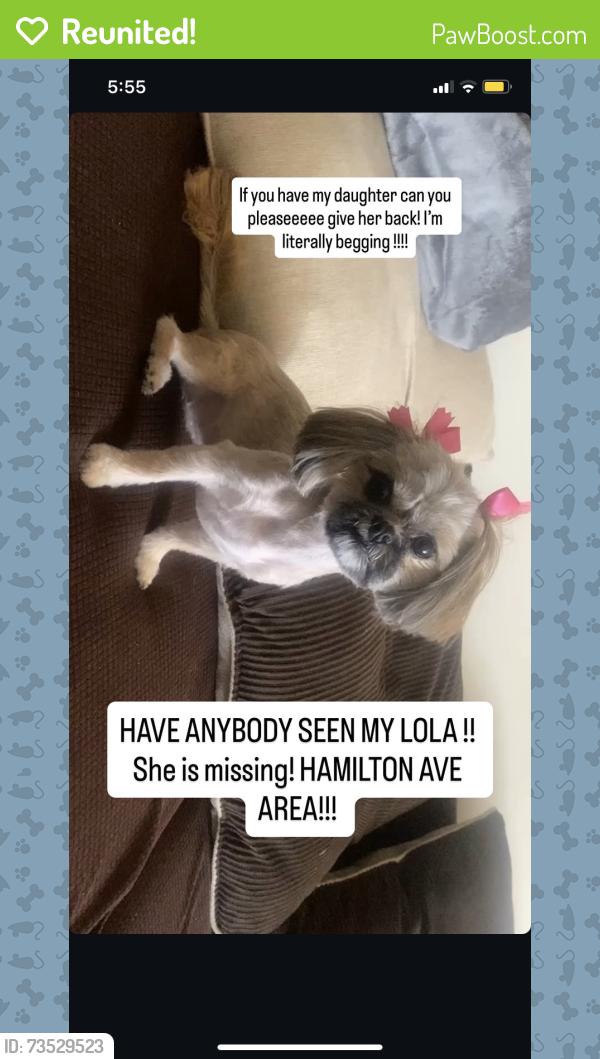 Reunited Female Dog last seen Hamilton Ave, Baltimore, MD 21214