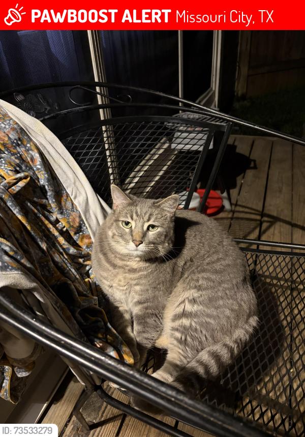 Lost Female Cat last seen Cartwright, Missouri City, TX 77459
