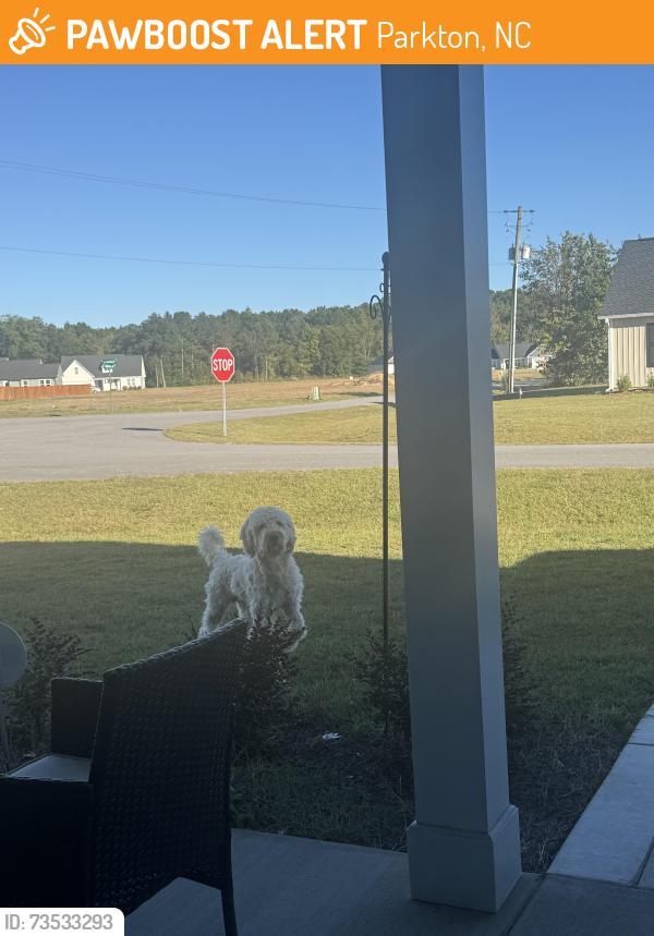 Found/Stray Male Dog last seen Commander drive, Parkton, NC 28371