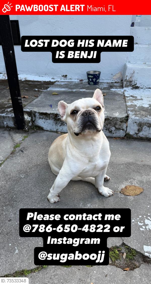 Lost Male Dog last seen Jesse J Mcracry Jr Elementary, Miami, FL 33150