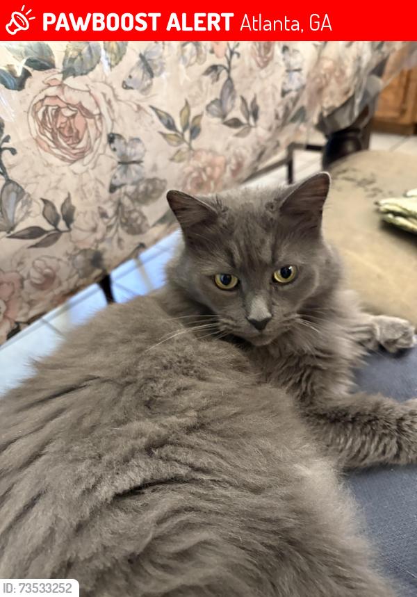 Lost Female Cat last seen Miller Reed Ave Se and Eric St Se, Atlanta, GA 30315