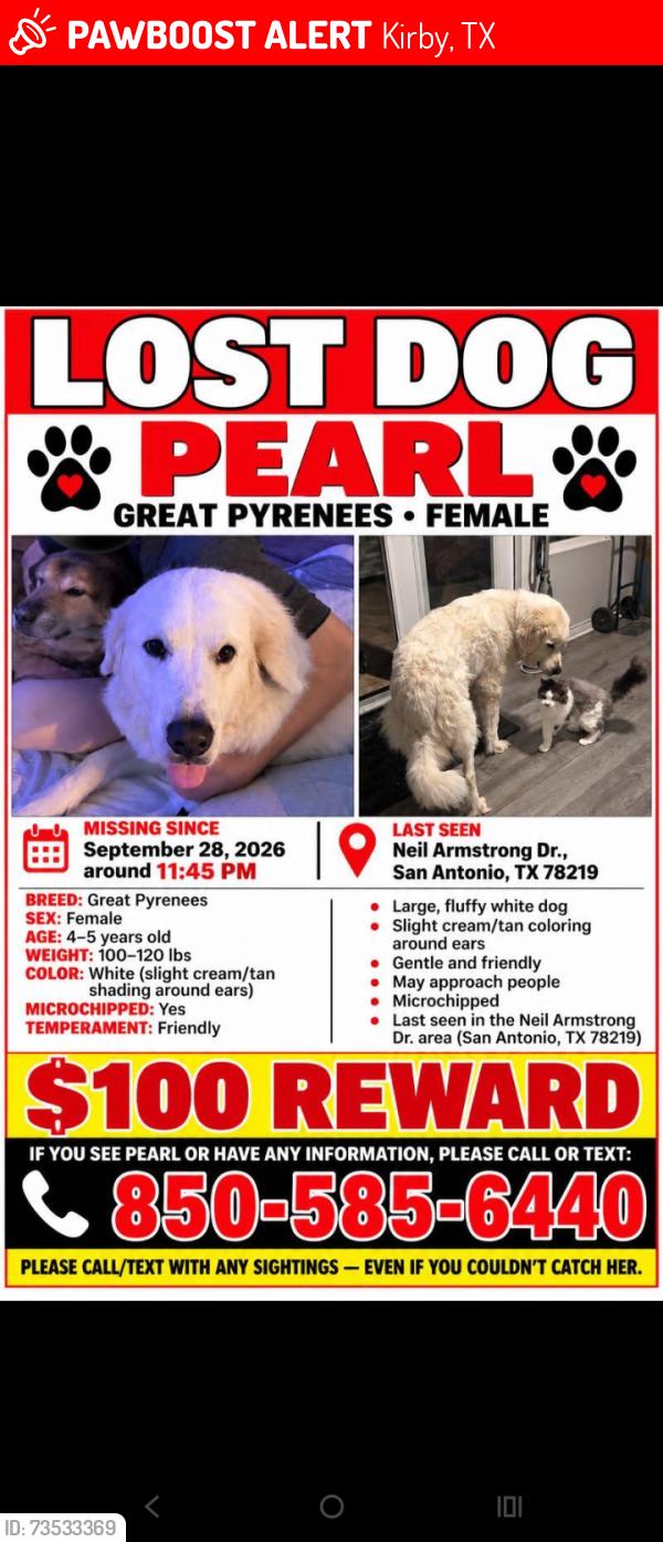 Lost Female Dog last seen Neil Armstrong Dr area, Kirby, TX 78219