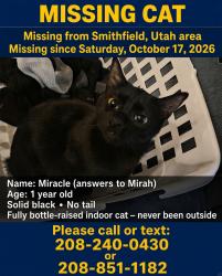 Lost Female Cat last seen E 600 S Smithfield, Utah, Smithfield, UT 84335