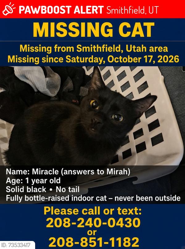 Lost Female Cat last seen E 600 S Smithfield, Utah, Smithfield, UT 84335