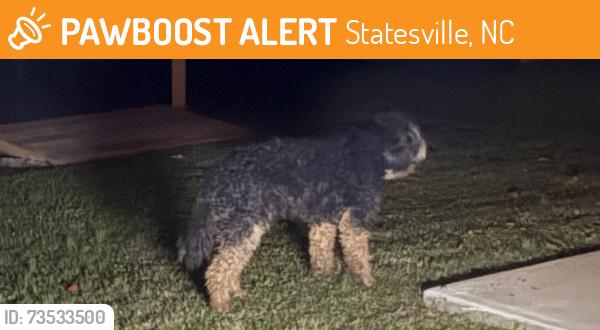 Found/Stray Unknown Dog last seen Jane Sowers Rd, Statesville, NC 28625