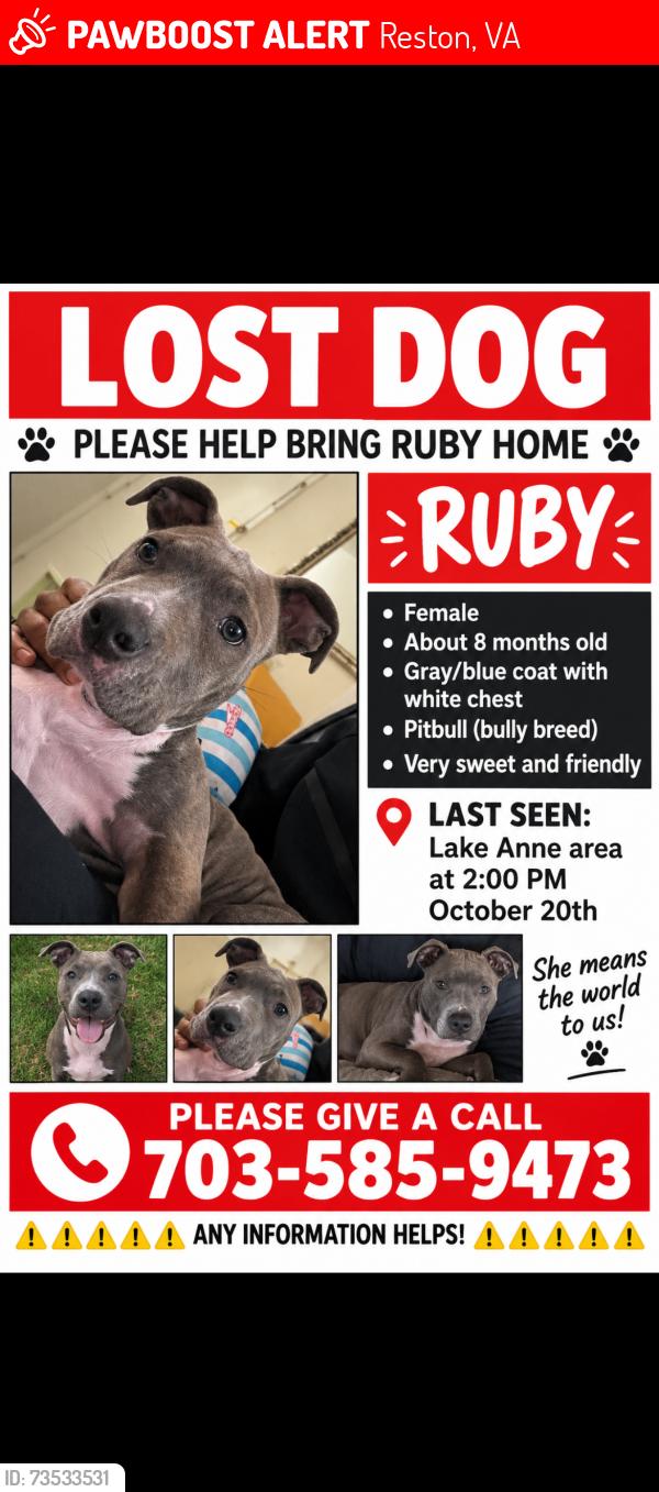 Lost Female Dog last seen Lake Anne area, Reston, VA 20190