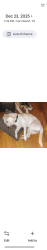 Reunited Male Dog last seen Westcrest Dr, Edgecliff Rd, Crowley Rd, Fort Worth, TX 76134