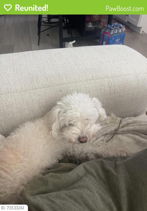 Reunited Female Dog last seen 30th Street and Imperial Avenue, San Diego, CA 92102