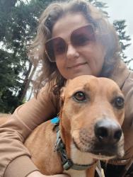 Reunited Female Dog last seen Grout Elementary, Portland, OR 97202