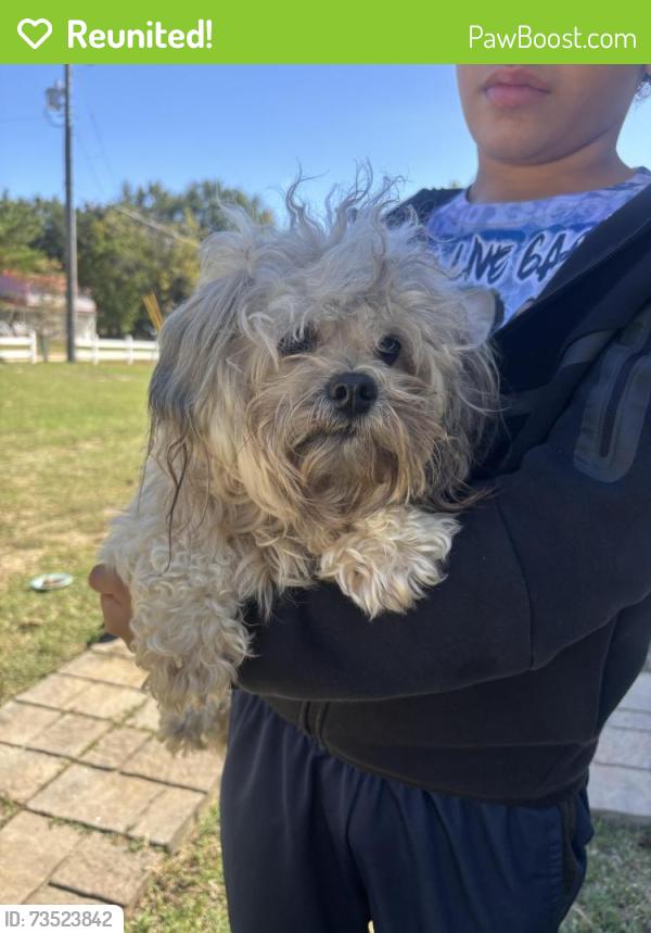 Reunited Male Dog last seen Ellis Jackson/ Camden road area, Fayetteville, NC 28306