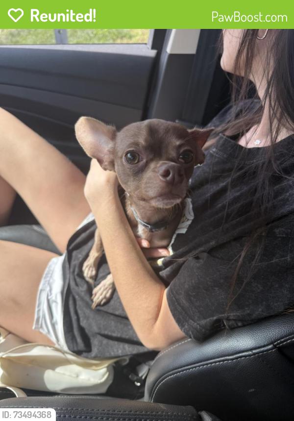 Reunited Male Dog last seen QT, Overland Park, KS 66202