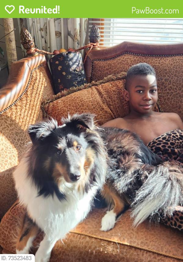 Reunited Male Dog last seen University/69th,Fridley, Fridley, MN 55432