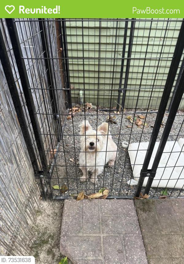 Reunited Male Dog last seen Burnett and Freeport, near Autozone, Sacramento, CA 95818