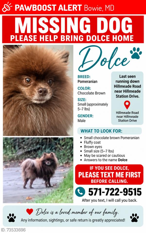 Lost Male Dog last seen Hillmeade Rd and Staffer, Bowie, MD 20720