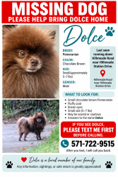 Lost Male Dog last seen Hillmeade Rd and Staffer, Bowie, MD 20720