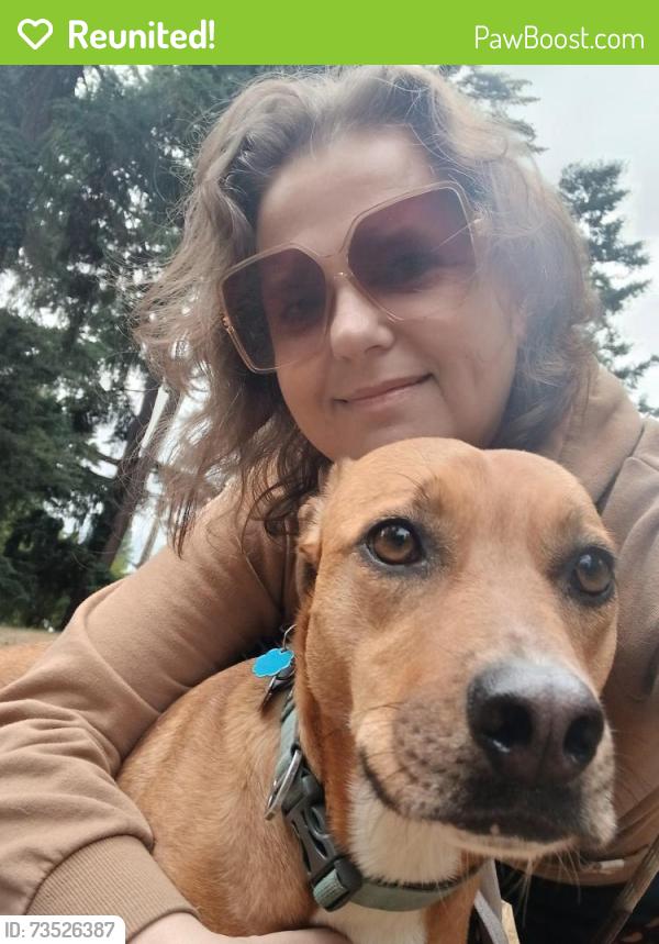 Reunited Female Dog last seen Grout Elementary, Portland, OR 97202