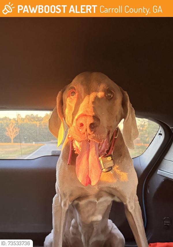 Found/Stray Male Dog last seen Happy hill road, Carroll County, GA 30116
