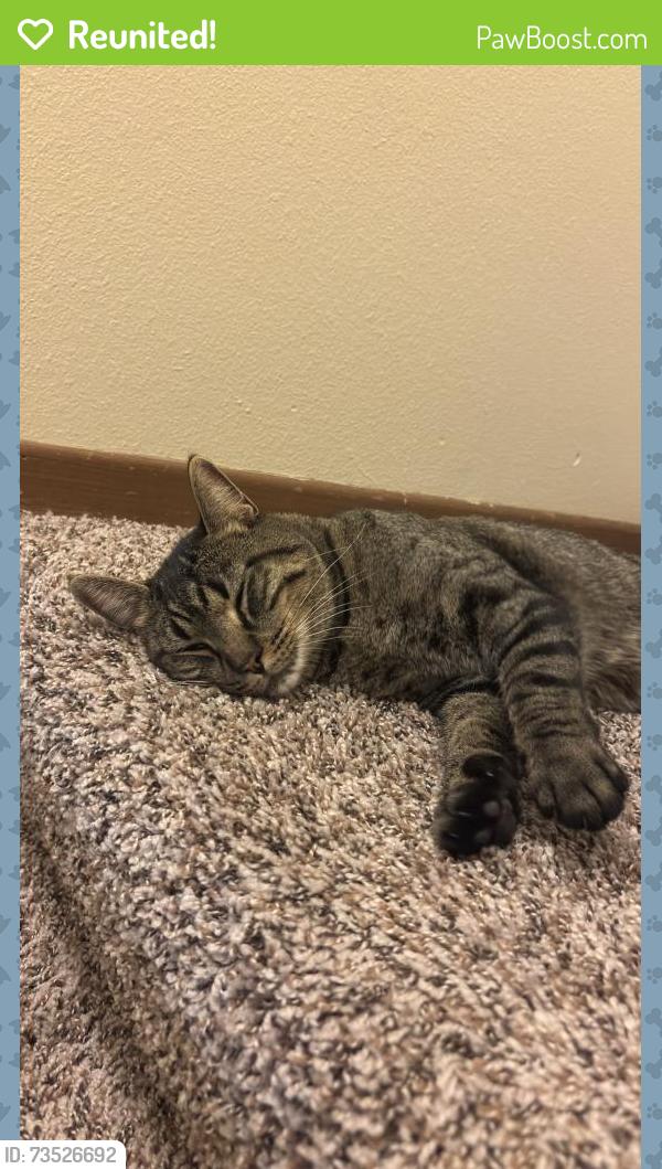 Reunited Male Cat last seen Raven St. NW & 115th AVE NW, Minneapolis, MN 55433