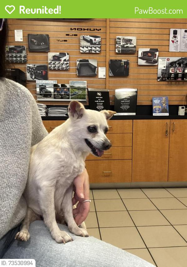 Reunited Female Dog last seen Hefner between Meridian and Macarthur, Oklahoma City, OK 73120