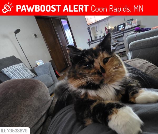 Lost Female Cat last seen 117th and Olive, Coon Rapids, MN 55433