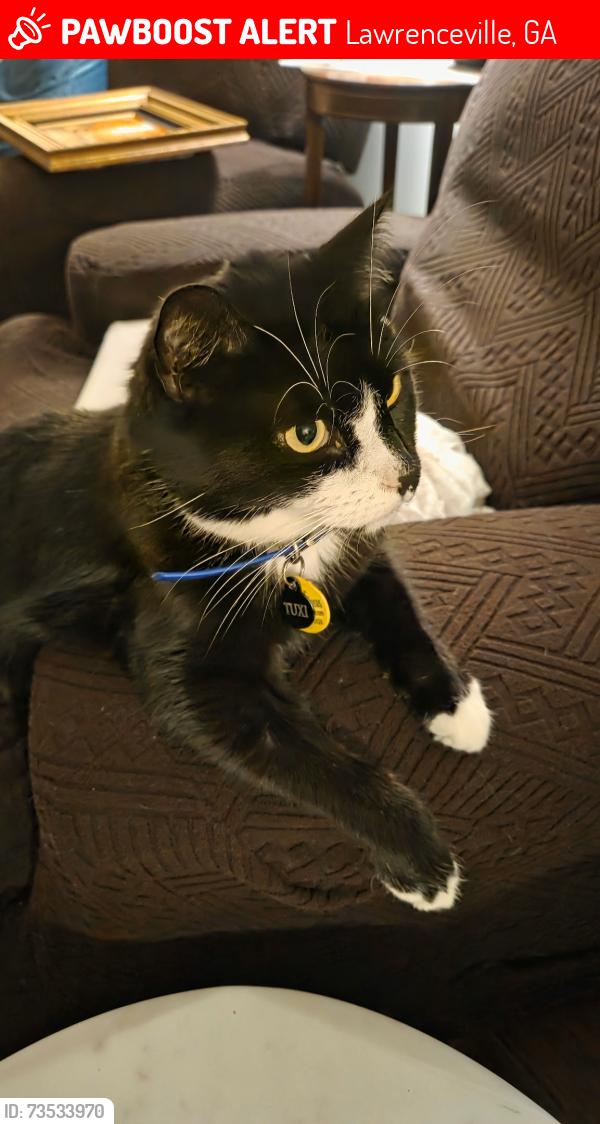 Lost Male Cat last seen Grayson Hwy, Lawrenceville, GA 30045