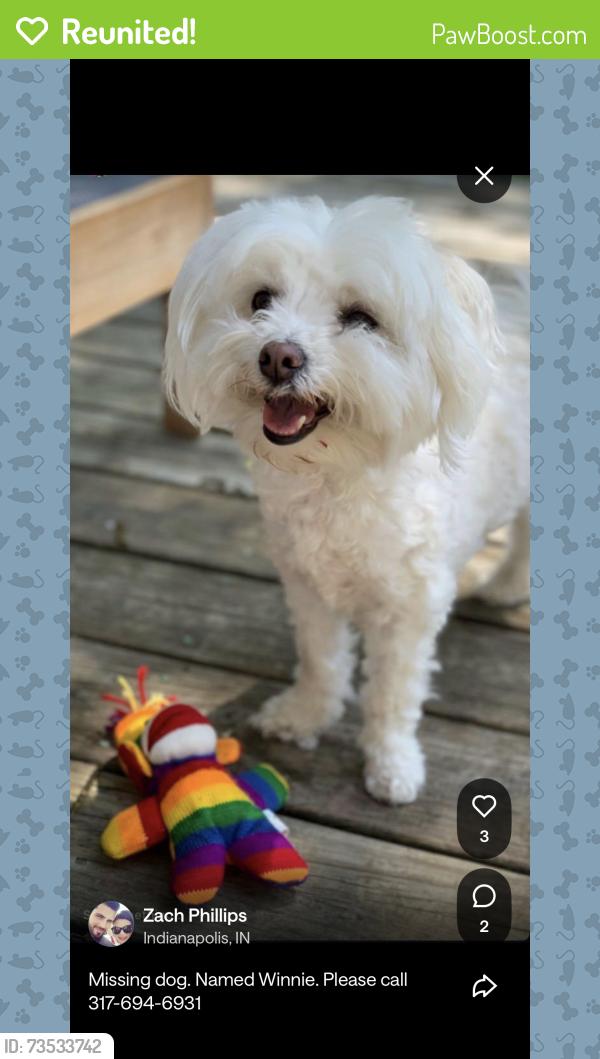 Reunited Female Dog last seen 24th and College Ave., Indianapolis, IN 46205