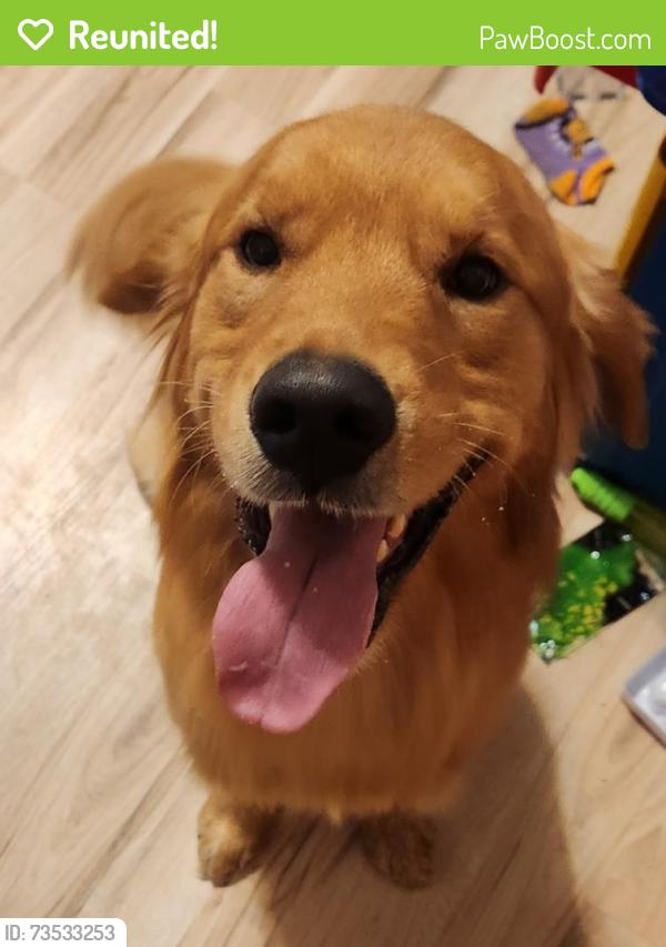 Reunited Male Dog last seen Near East and Tarlton Rd, Pickaway County, OH 43113