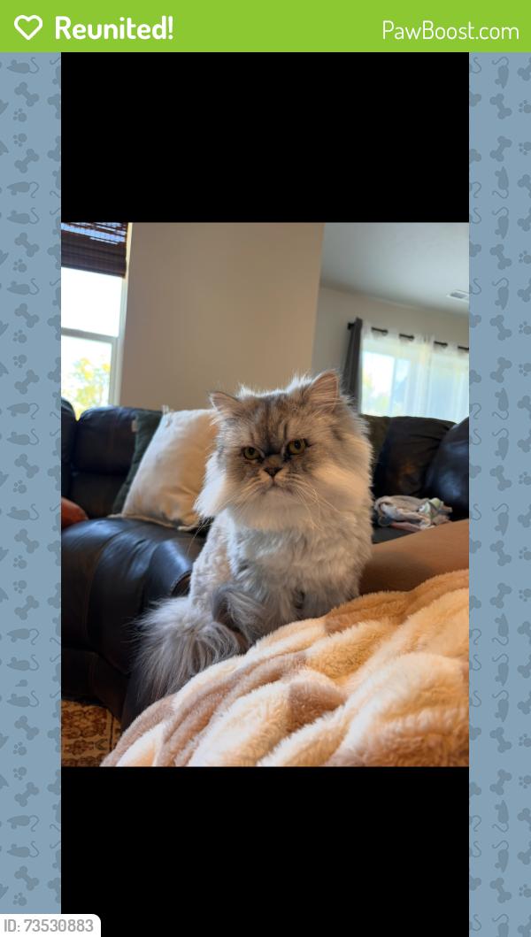 Reunited Male Cat last seen Middleton/Lonestar, Nampa, ID 83651