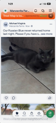 Lost Male Cat last seen 5th st & Wescott dr, Phoenix, AZ 85024