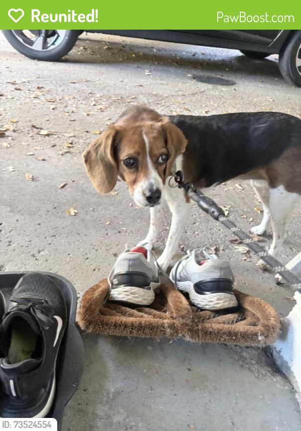 Reunited Unknown Dog last seen Lyman / Shaker, Shaker Heights, OH 44122